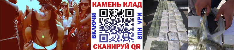 наркотики  Каменногорск  ГАШИШ Изолятор 