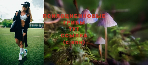 гидра Волосово