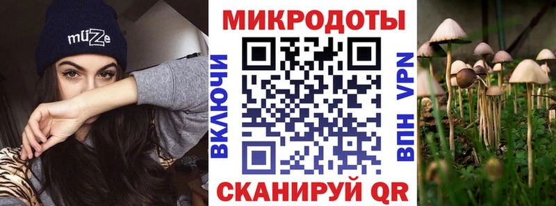 Галлюциногенные грибы мухоморы  MEGA ссылки  Каменногорск 